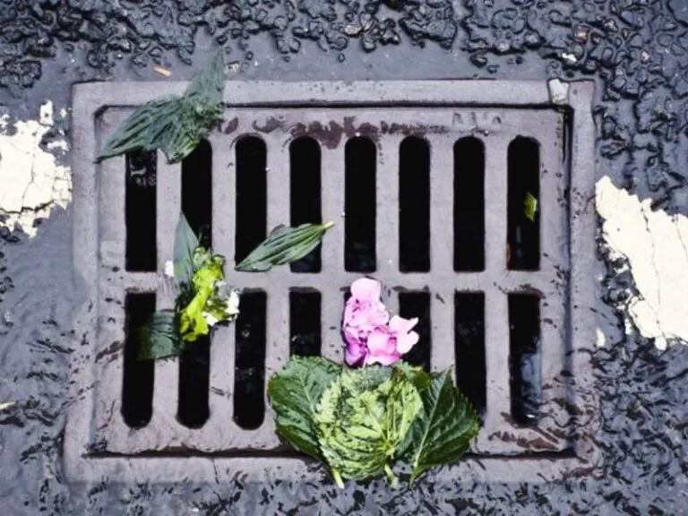 Menjaga Kualitas Air